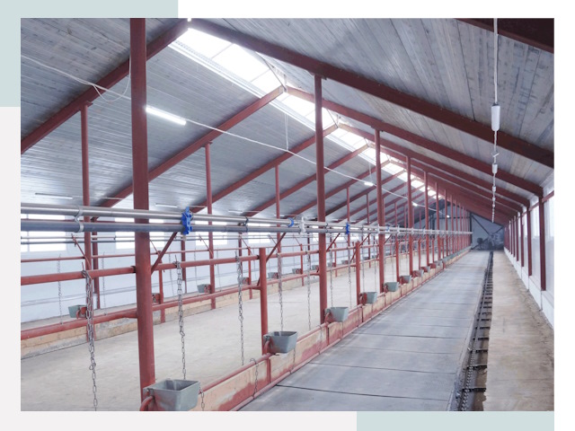 Строительство коровников в Бузулуке от 625 руб.