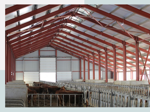 Строительство коровников в Бузулуке