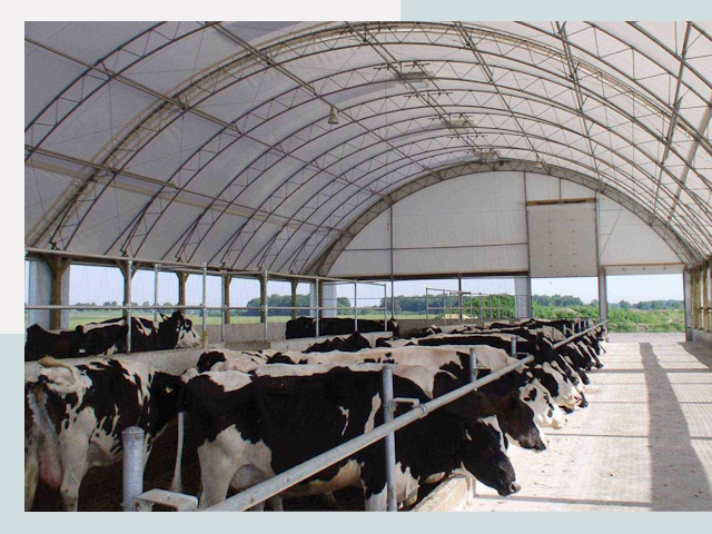 Тентовые коровники в Бузулуке